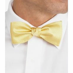 Wholesale 🎉 Cremieux Solid Ribbed Bow Tie Black 🌟 -Cremieux Shop unnamed file 410